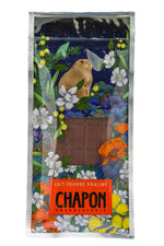 Chapon Milk Chocolate with Smoked Praline Filling