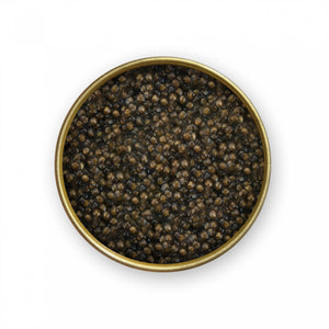 Darya Caviar Asetra