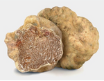 Extra Grade Italian Alba White Truffle