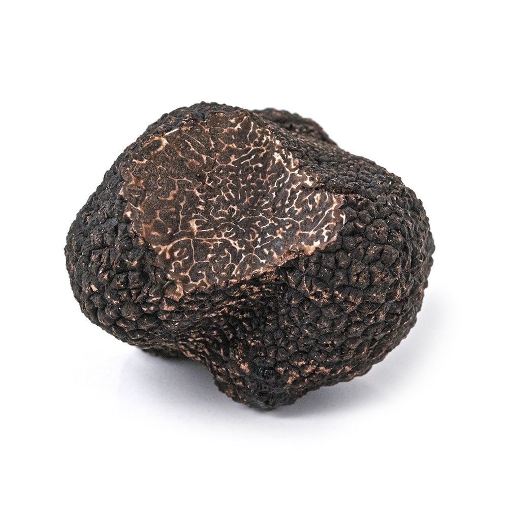 First Class Fresh Black Truffle – Western Australia