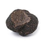 First Class Fresh Black Truffle – Western Australia