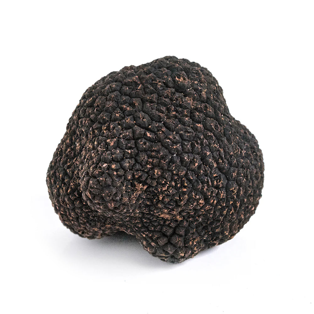 Extra Class Fresh Black Truffle – Western Australia