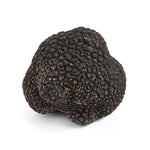 Extra Class Fresh Black Truffle – Western Australia